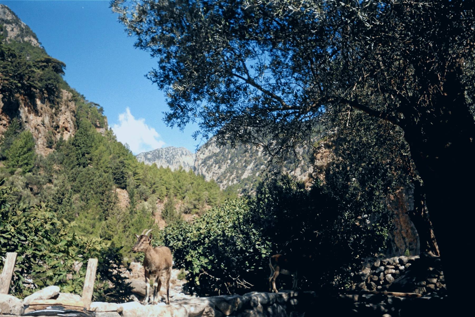 Foto di viaggio in GRECIA