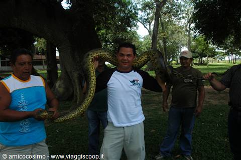 ecco finalmente l' Anaconda