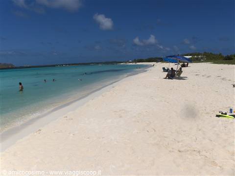 Il paradiso Los Roques
