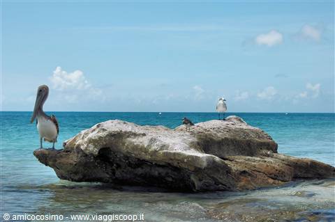 Los Roques