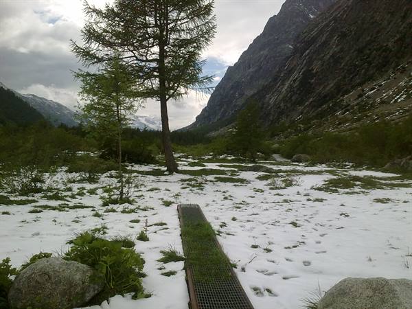 neve fresca in val Ferret