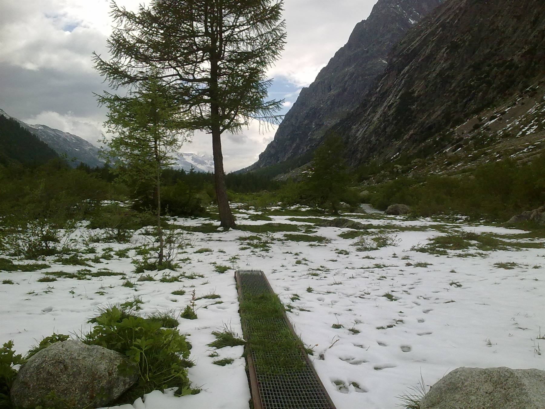 neve fresca in val Ferret