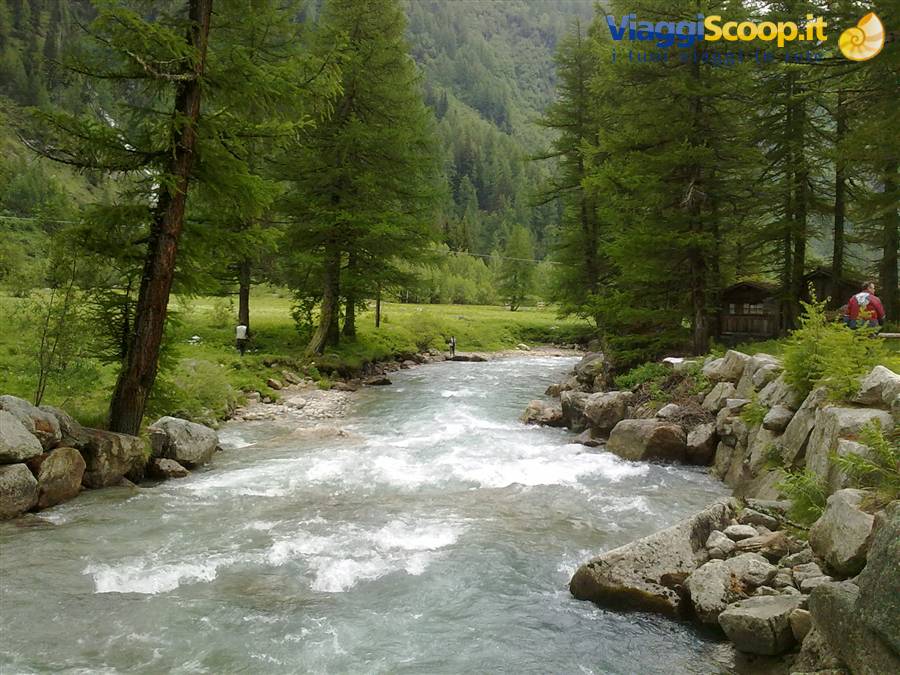 val Ferret