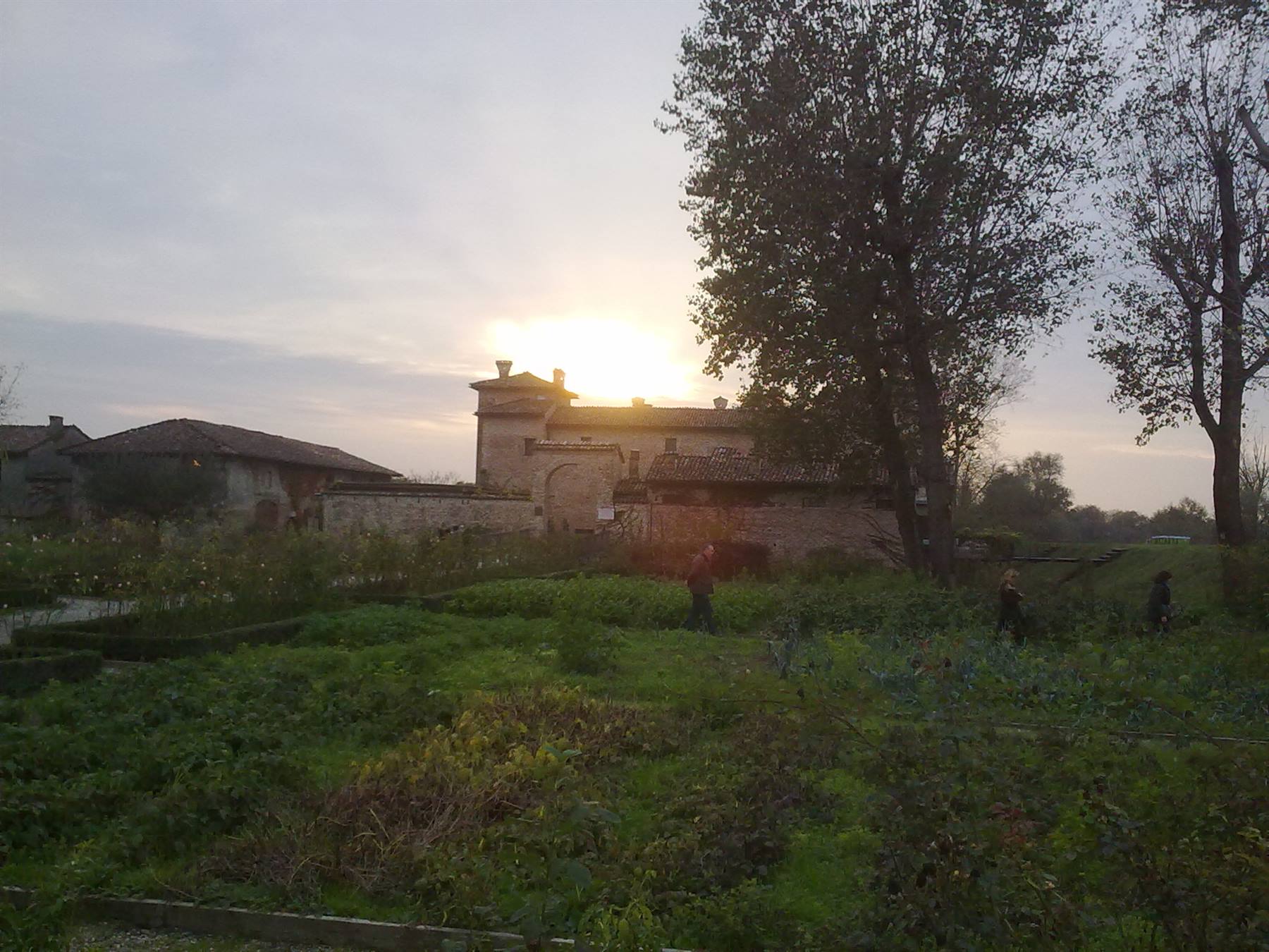 la corte pallavicina