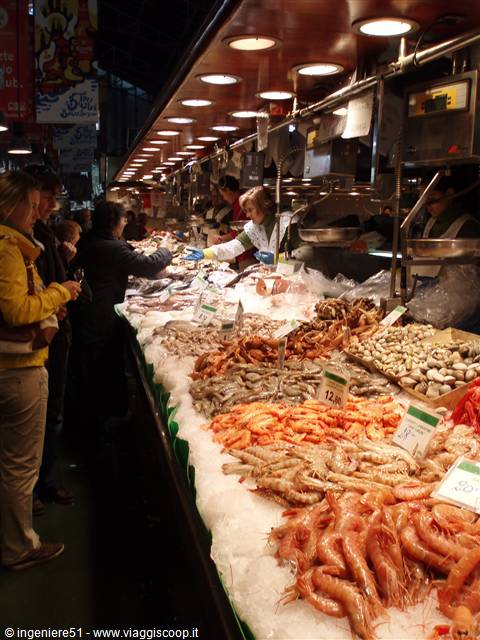 banchi stracolmi di pesce