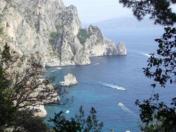 CAPRI