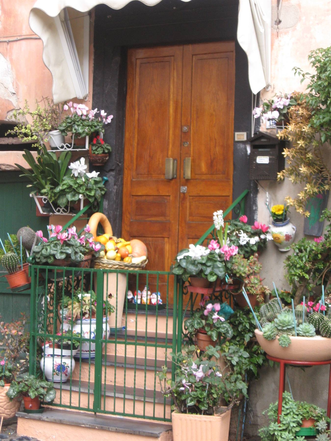 FINALBORGO