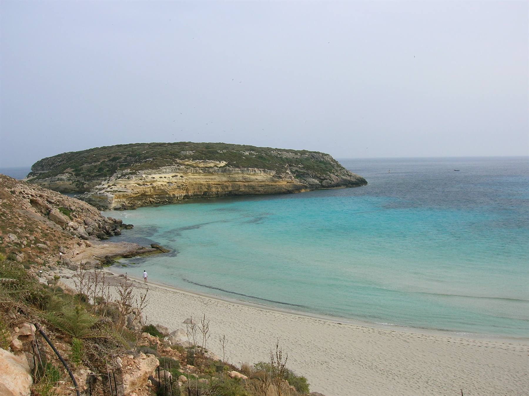 isola dei conigli 2