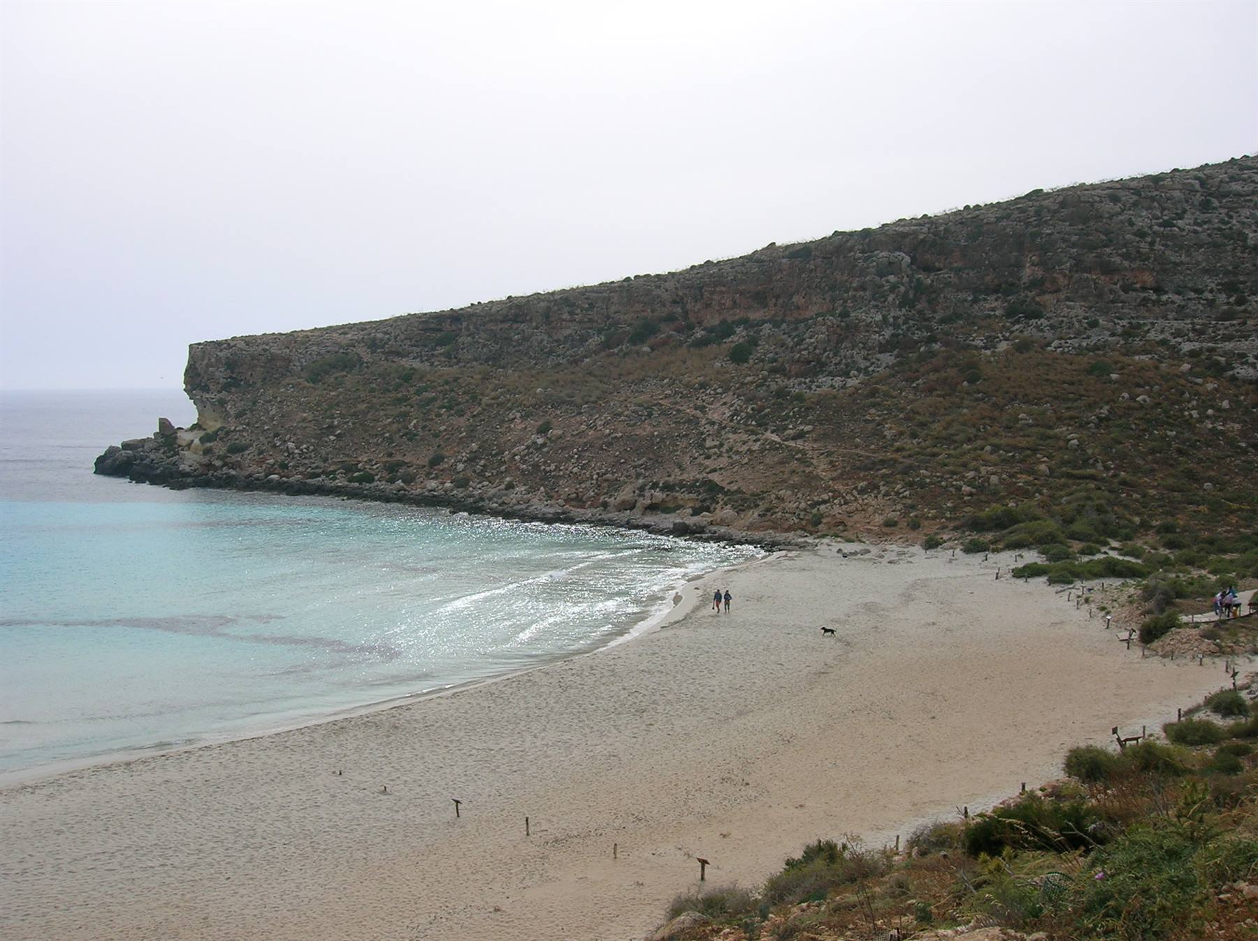 isola dei conigli 3 