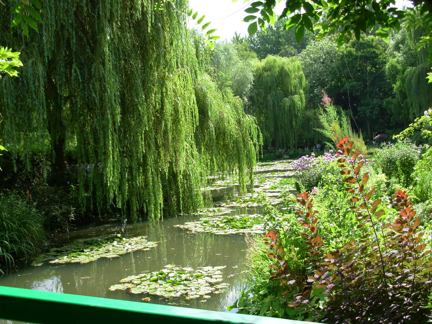 Foto di viaggio in FRANCIA