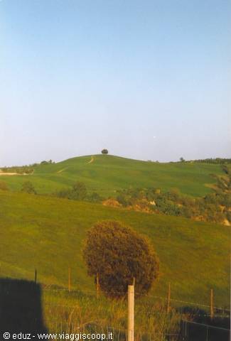 Buonconvento - Veduta