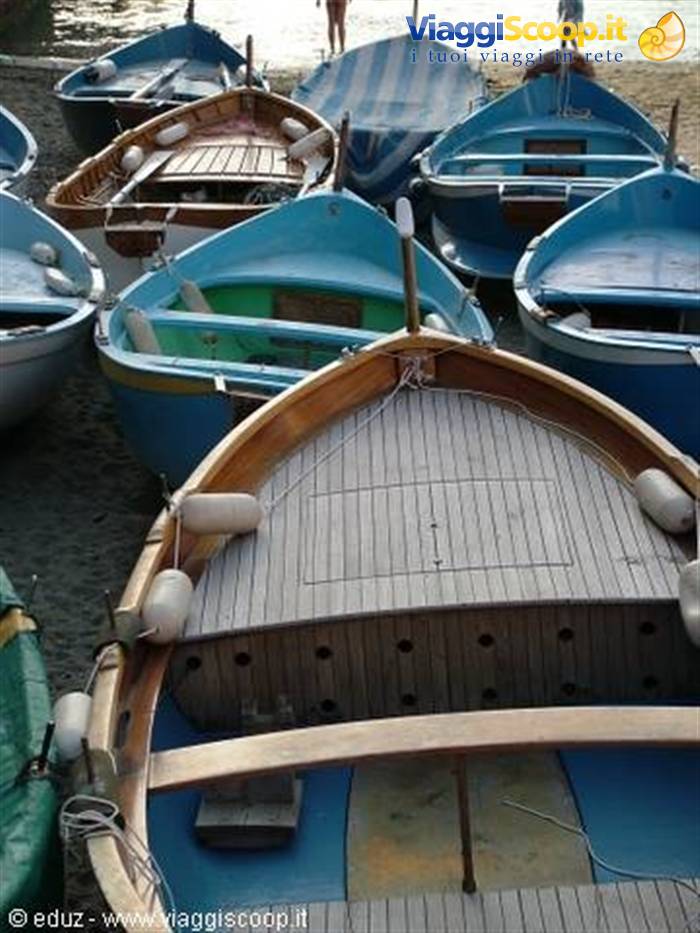 Vernazza - Barche nel porto