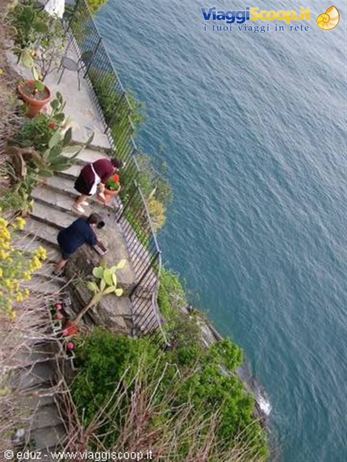 Vernazza - Donne al lovoro a picco sul mare