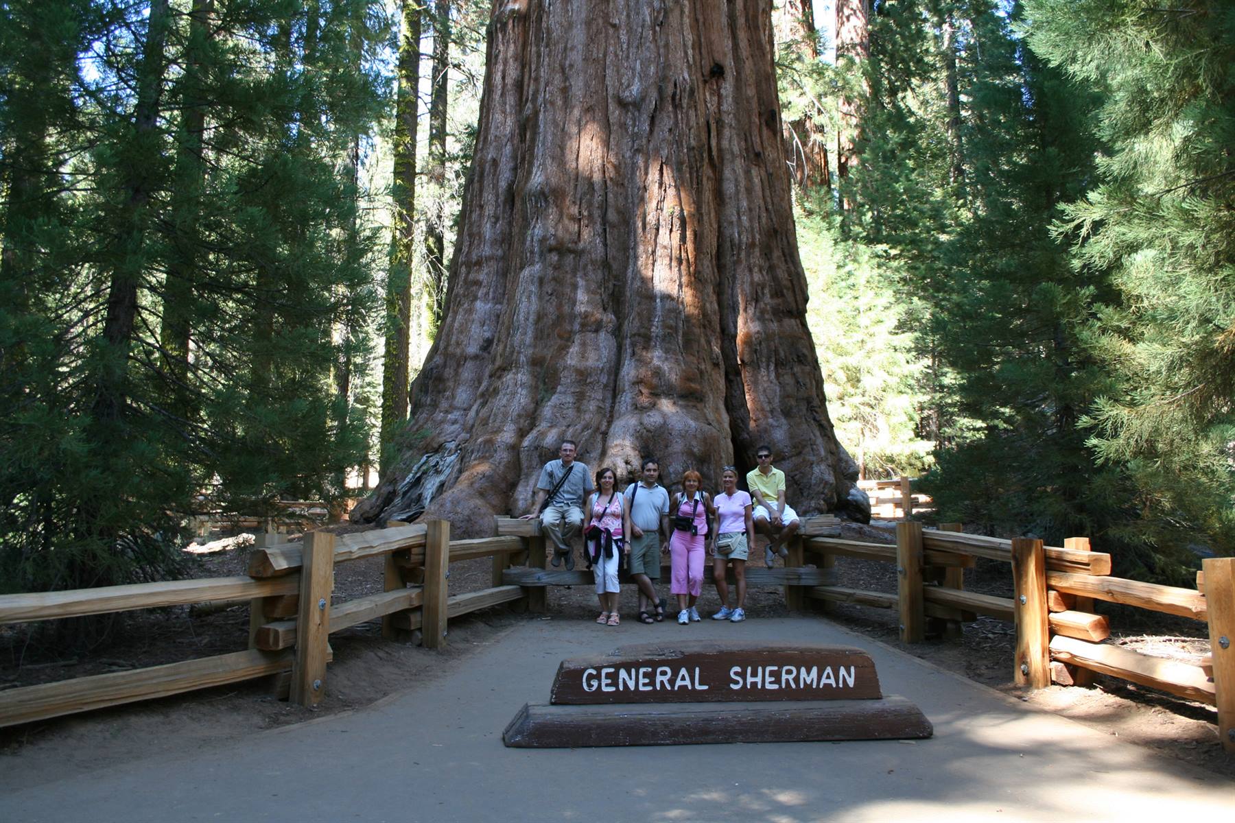 foto di gruppo sotto al general sherman's tree