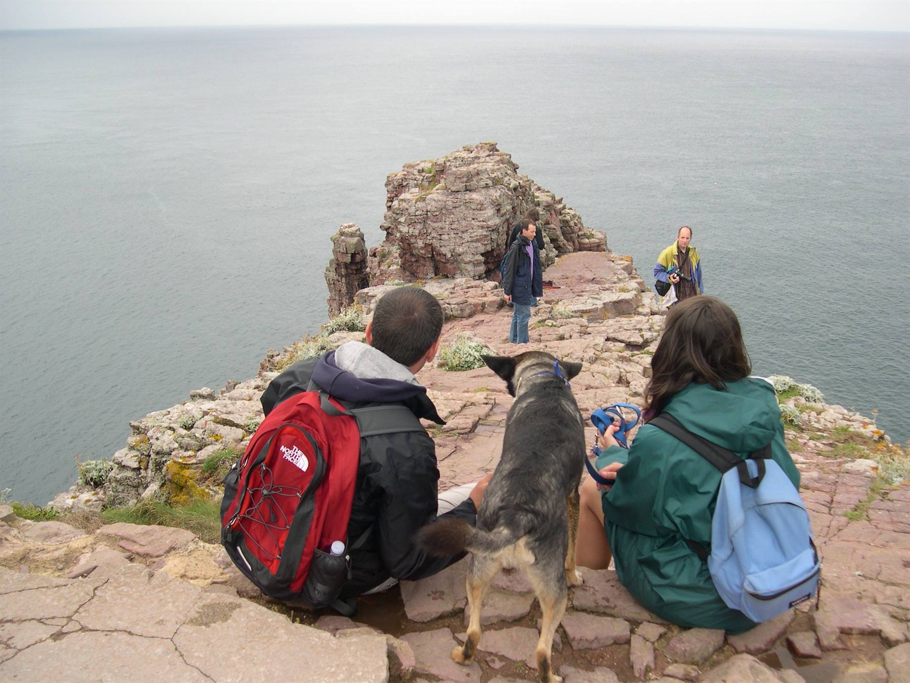 SULLA VETTA DELLA SCOGLIERA DI CAP FREHEL (BRETAGNA)