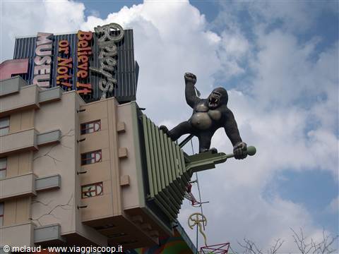 KING KONG CANADESE . . .