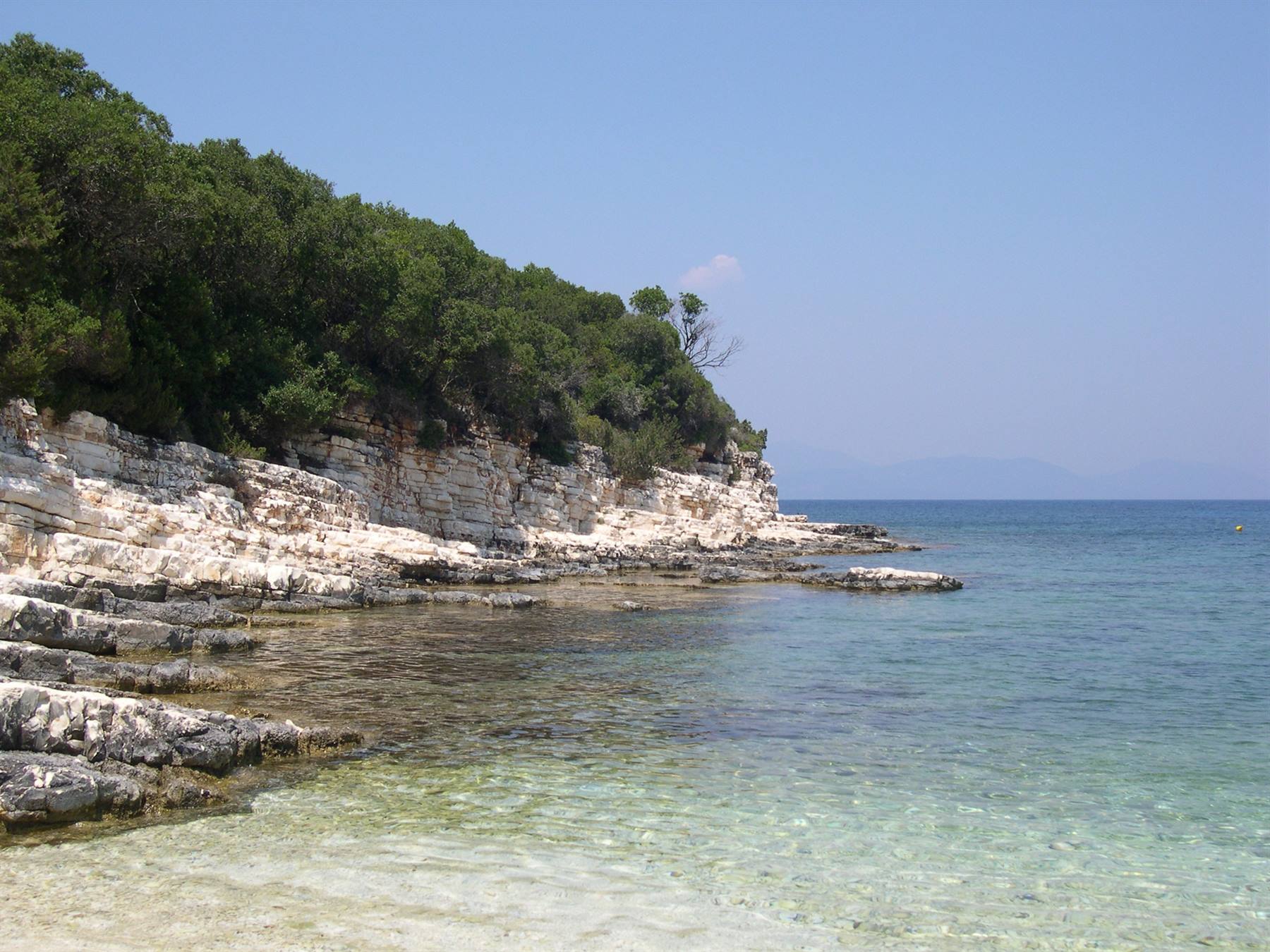 UNA VISTA SULLA RIGOGLIOSA VEGETAZIONE DI CEFALONIA