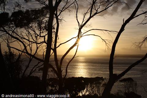 Kangaroo Island - Alba