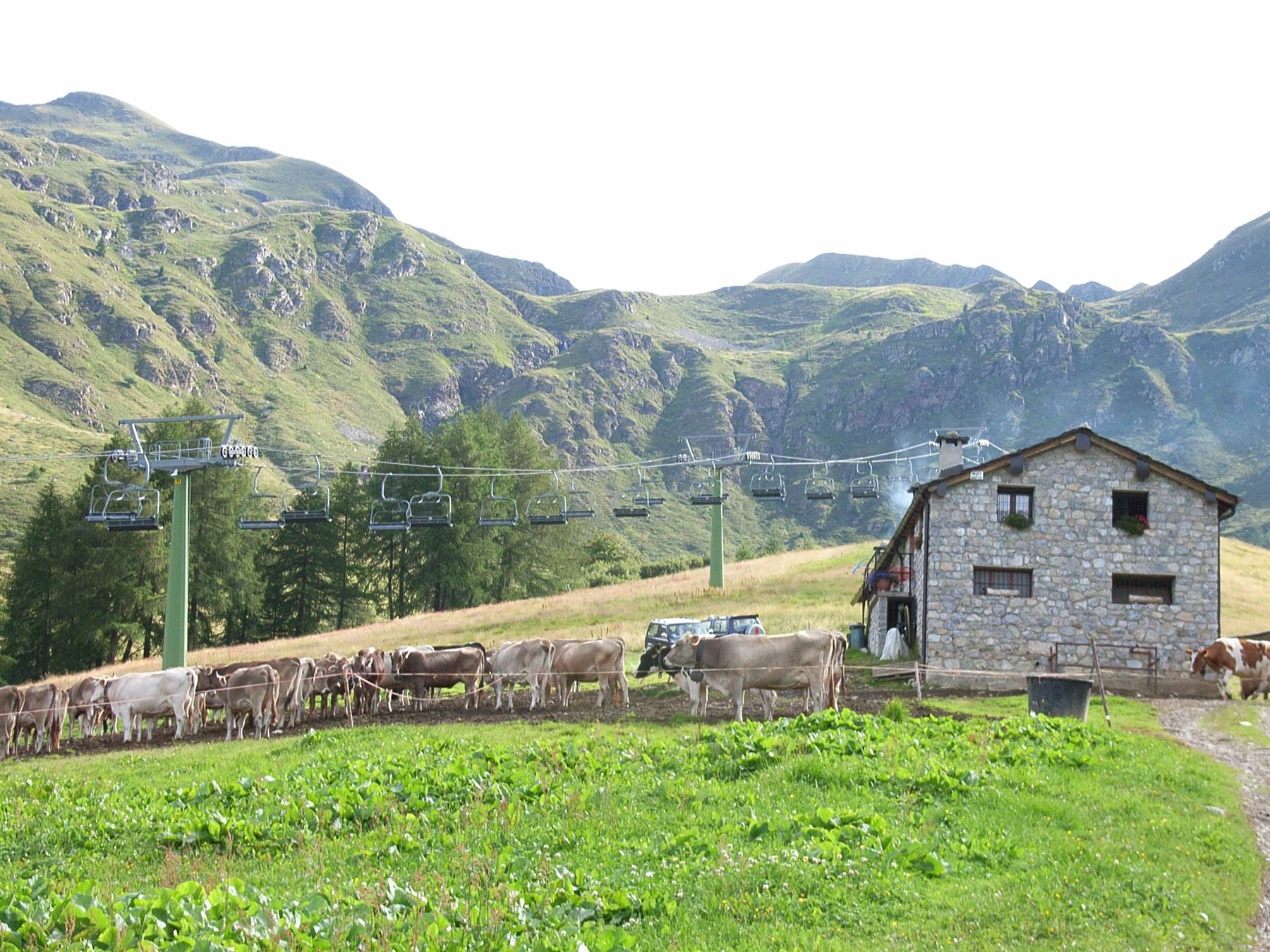 PISTA SKI