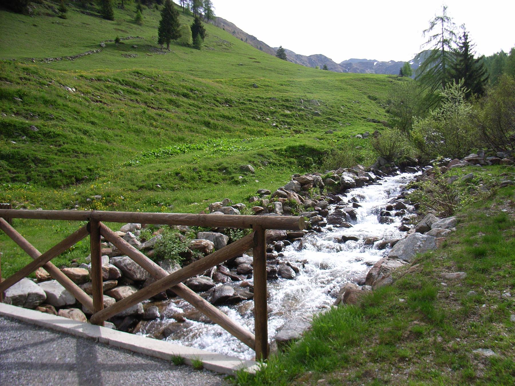 RAMO TORRENTE BREMBO