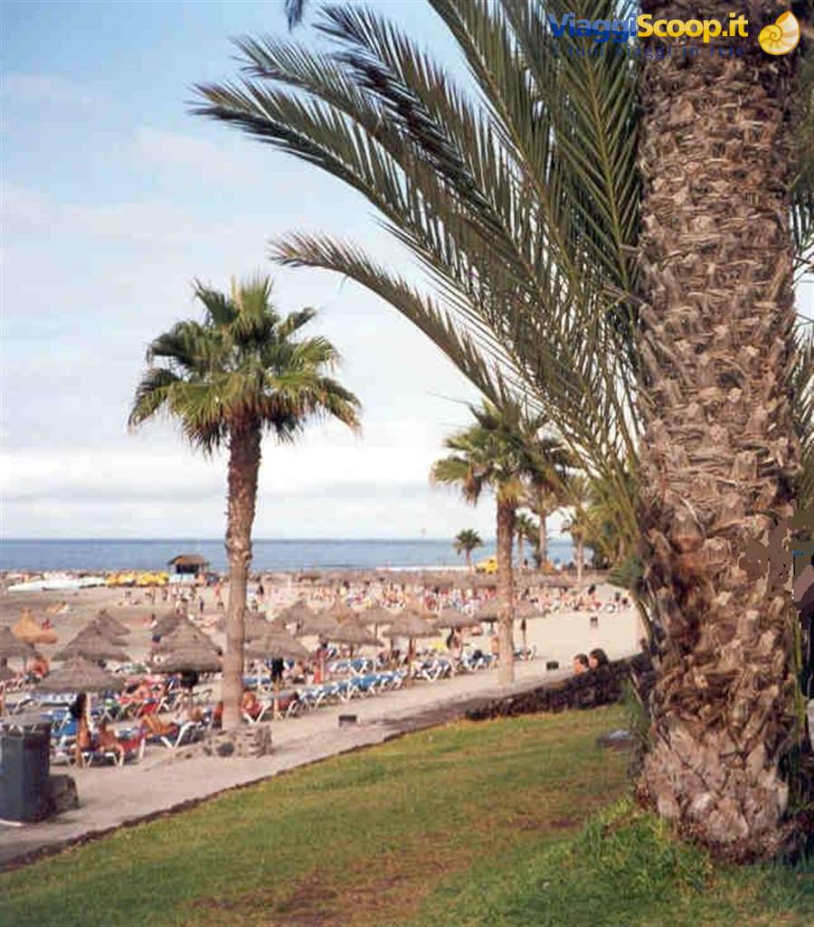PLAYA DE LAS AMERICAS