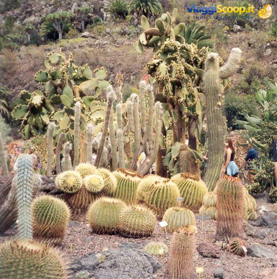 GOMERA