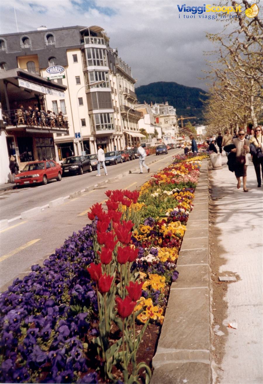 LOSANNA