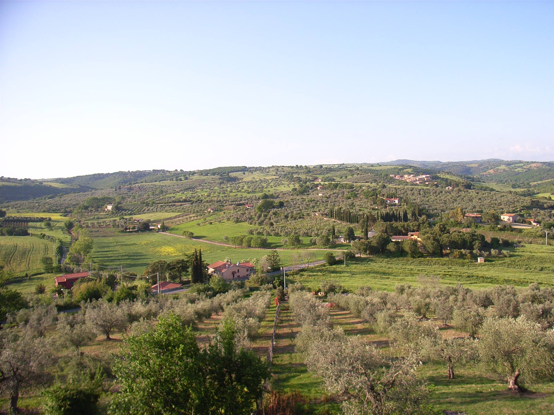 MAREMMA