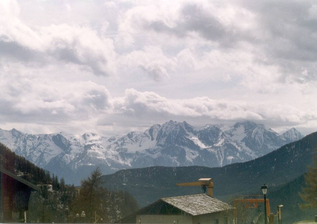 CHAMOIS