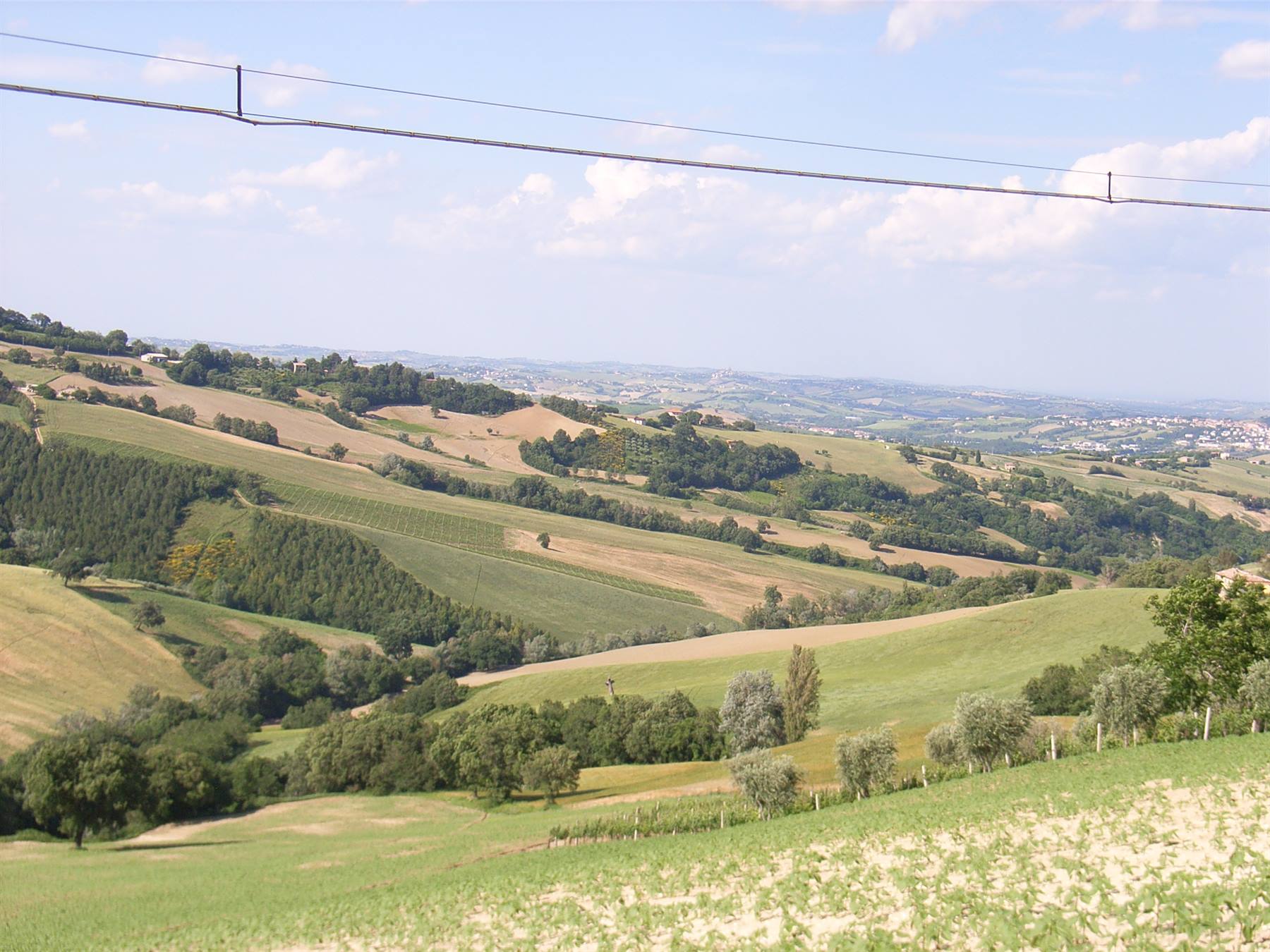 COLLINE MARCHIGIANE