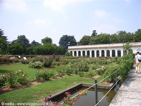 SERRONE DELLA VILLA REALE - MONZA