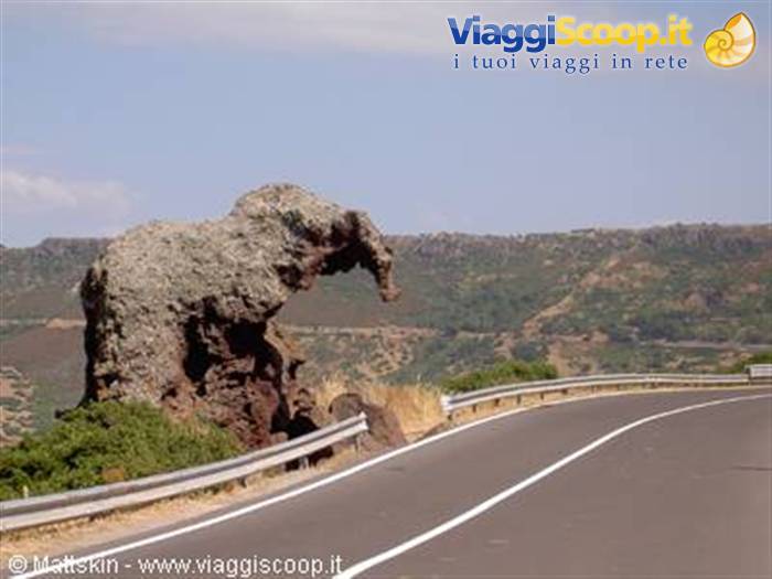 elefante