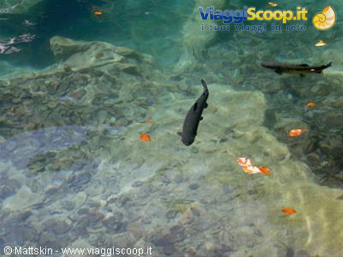 Blausee