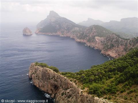 Maiorca