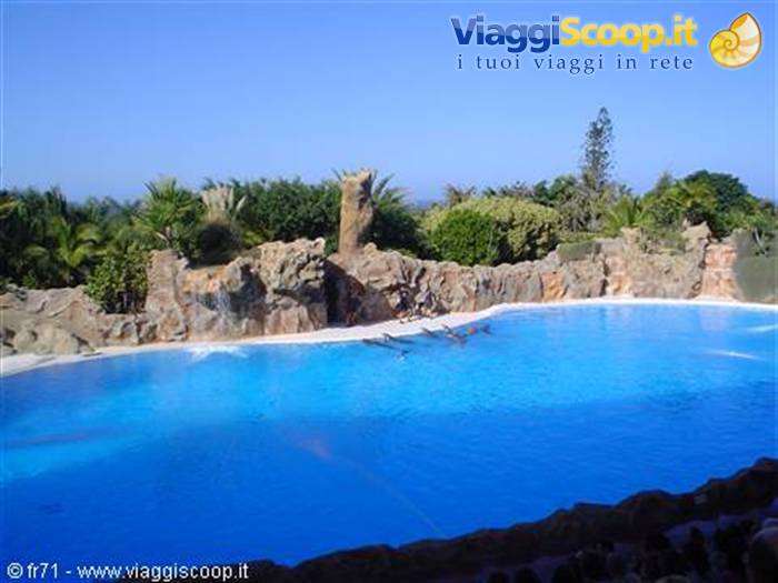 LORO PARQUE SPETTACOLO DELFINI