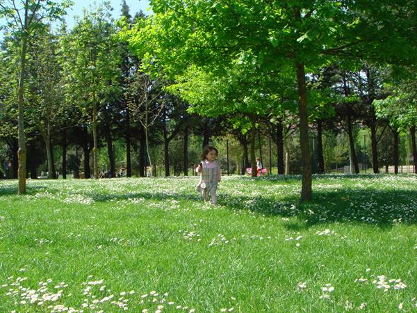 SPAZI VERDI A IGEA