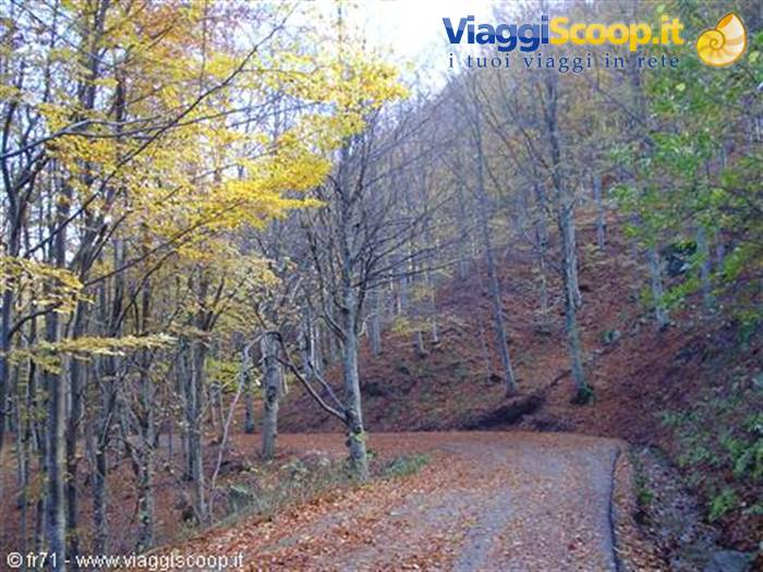 AUTUNNO