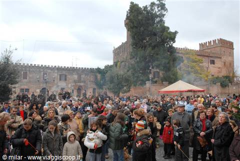 S. ANTONIO ABATE a MONTALTO DI C.