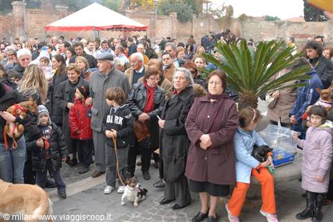 benedizione degli animali