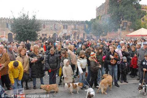 benedizione degli animali