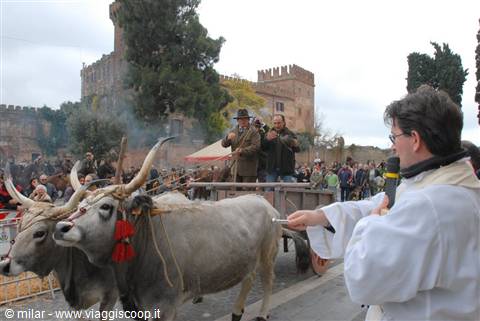benedizione degli animali