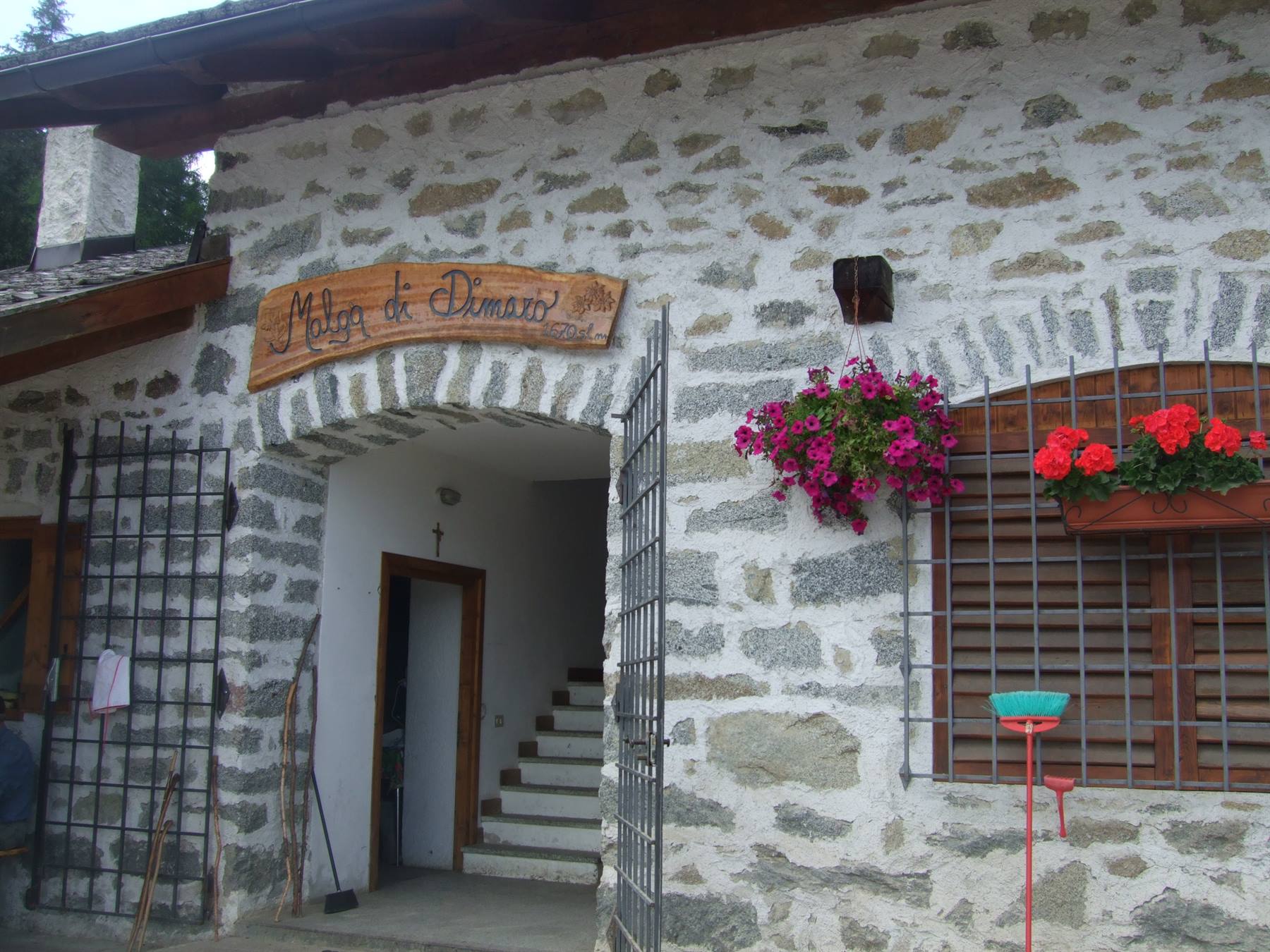 MALGA DI DIMARO