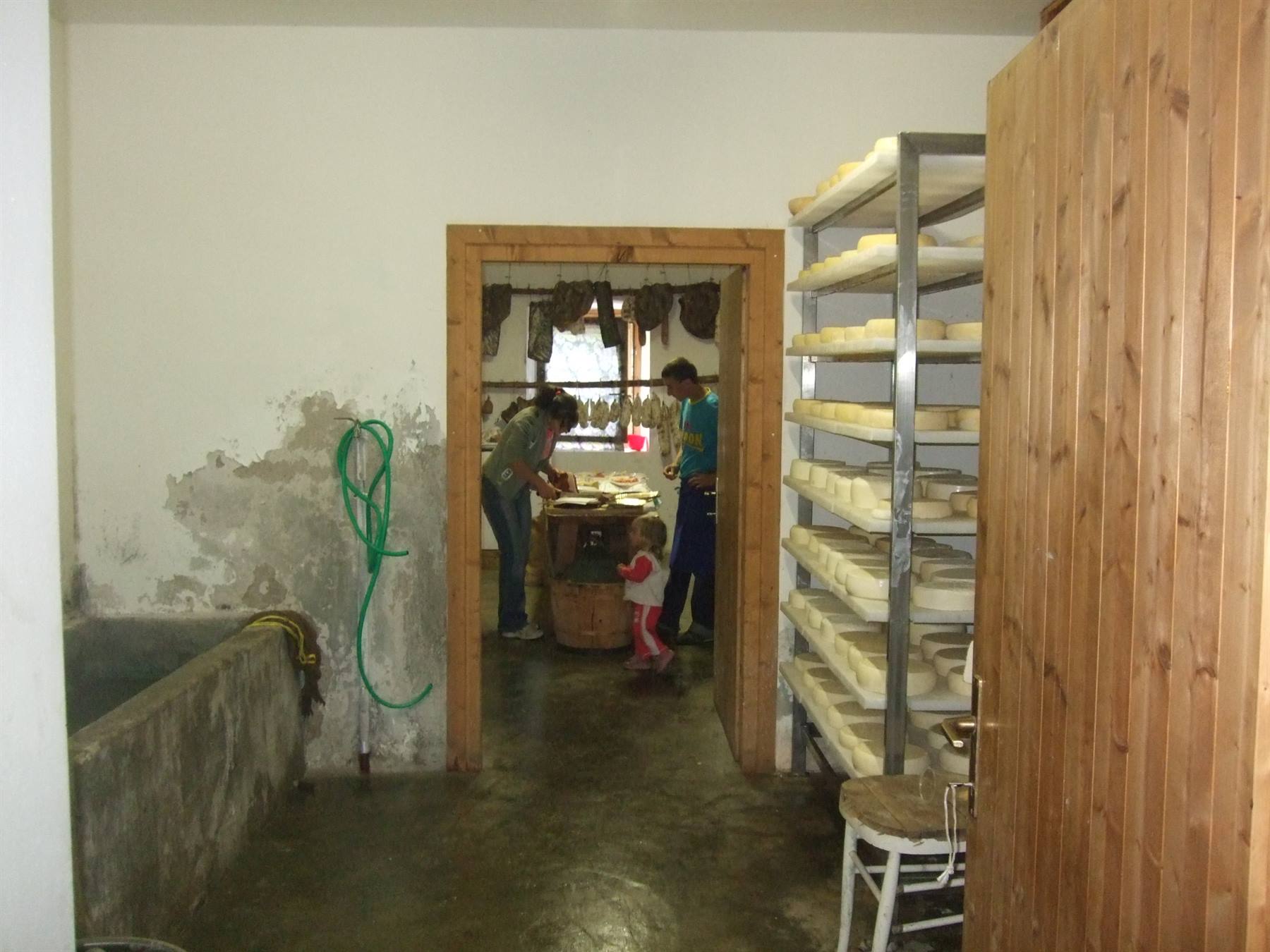 MALGA DI DIMARO: formaggi.