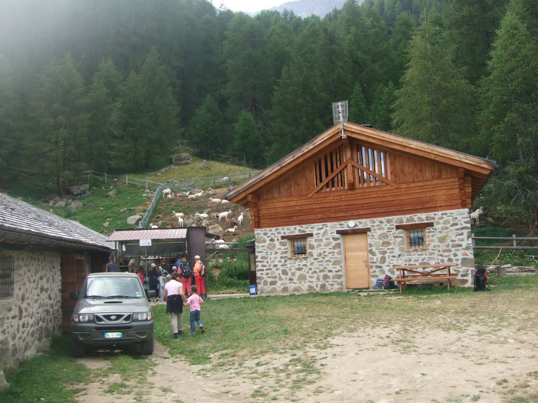 PEJO: malga Covel.