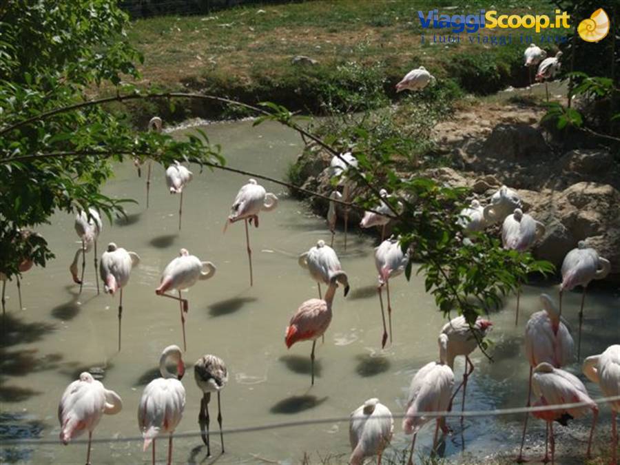 SAFARI PARK