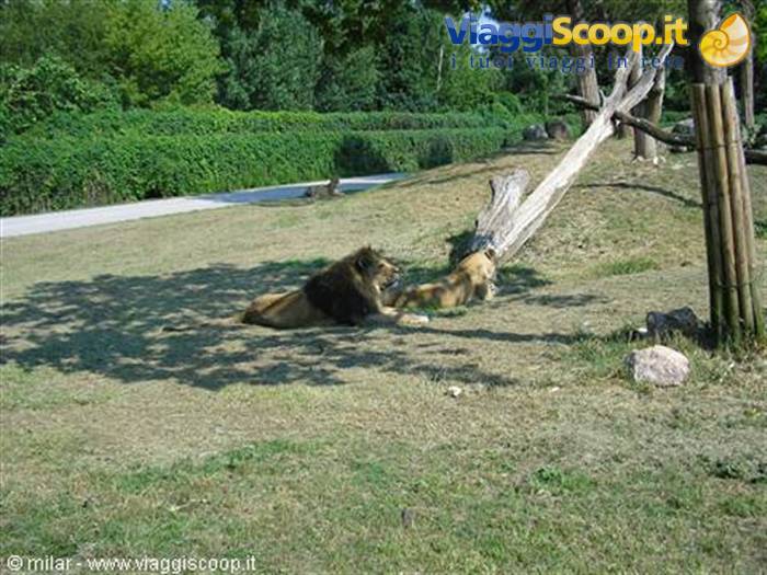 ZOOSAFARI PESCHIERA DEL GARDA