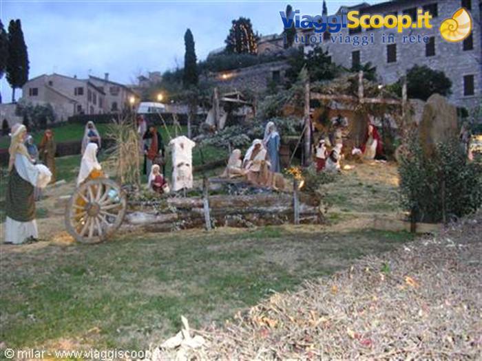 ASSISI