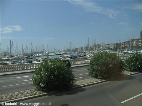 porto di palma