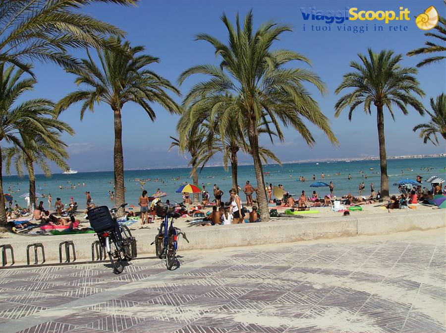 lungomare el arenal
