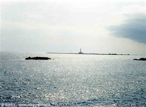 Mare Gallipoli